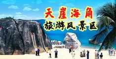 粉色视频操逼逼海南三亚-天崖海角旅游风景区