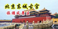 歐美人妖性愛婷婷性愛天射中国北京-东城古宫旅游风景区